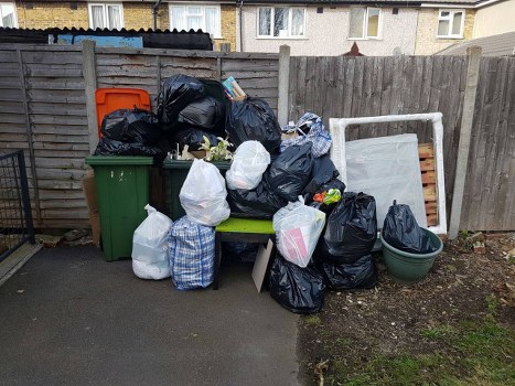 A professional garden clearance team working in Archway