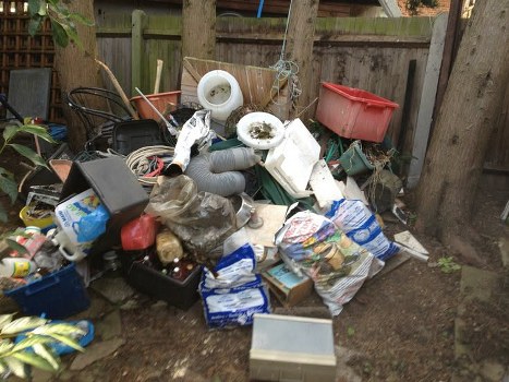 Eco-friendly garden clearance practices in Archway